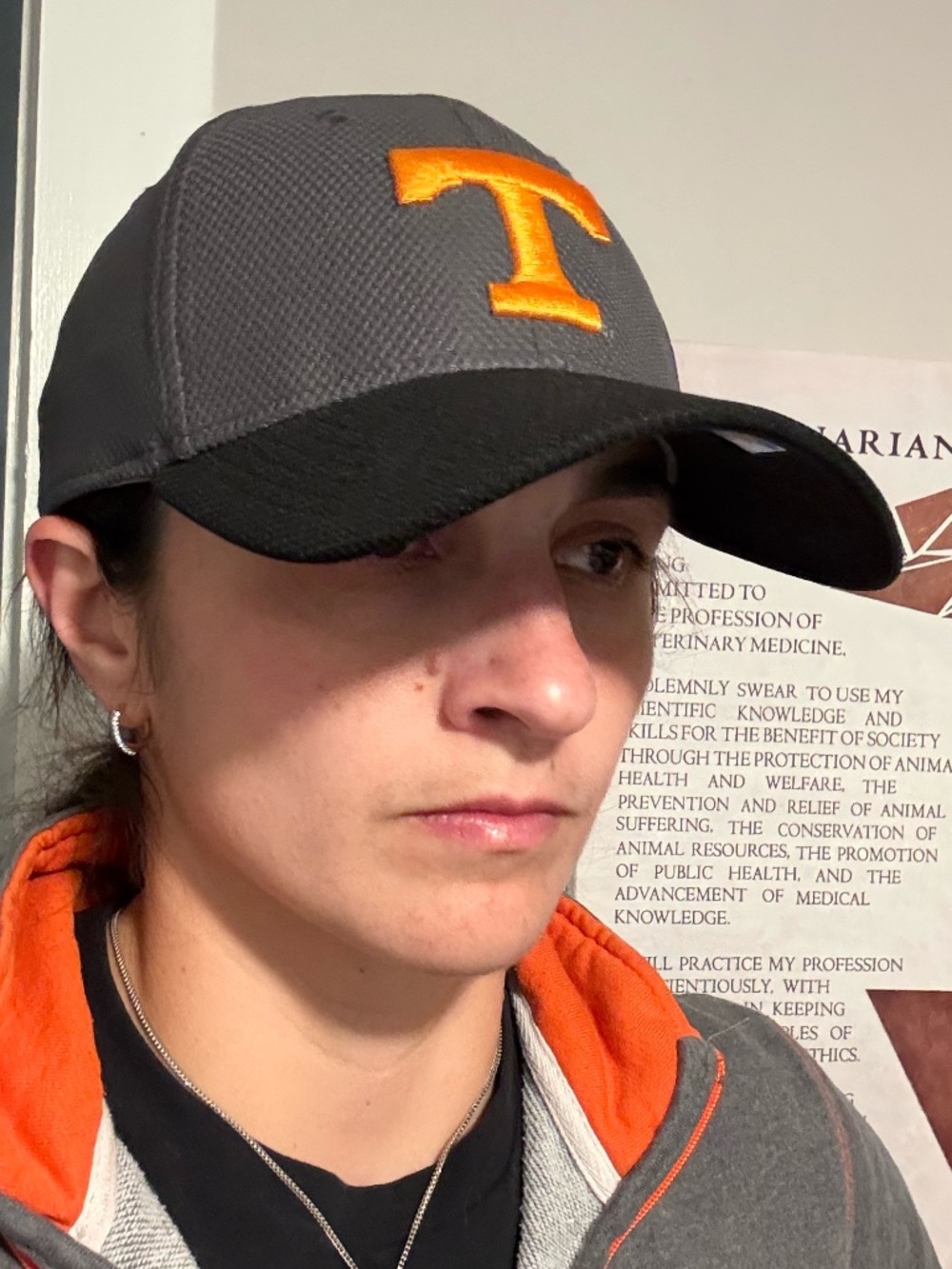 Tennessee Volunteers New Era 39THIRTY Hat Gray Fitted Cap NCAA Vols Stretch Fit